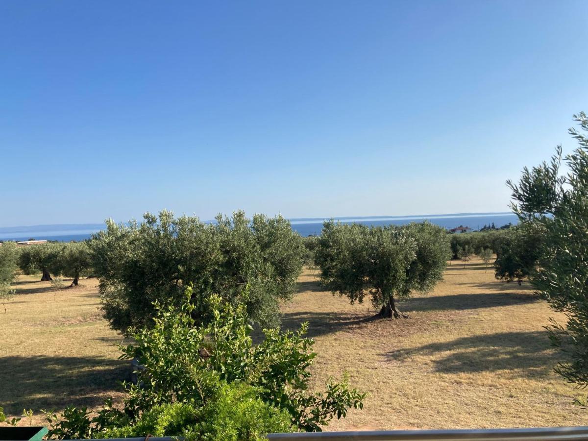 Villa Giannoula Gerakini Buitenkant foto