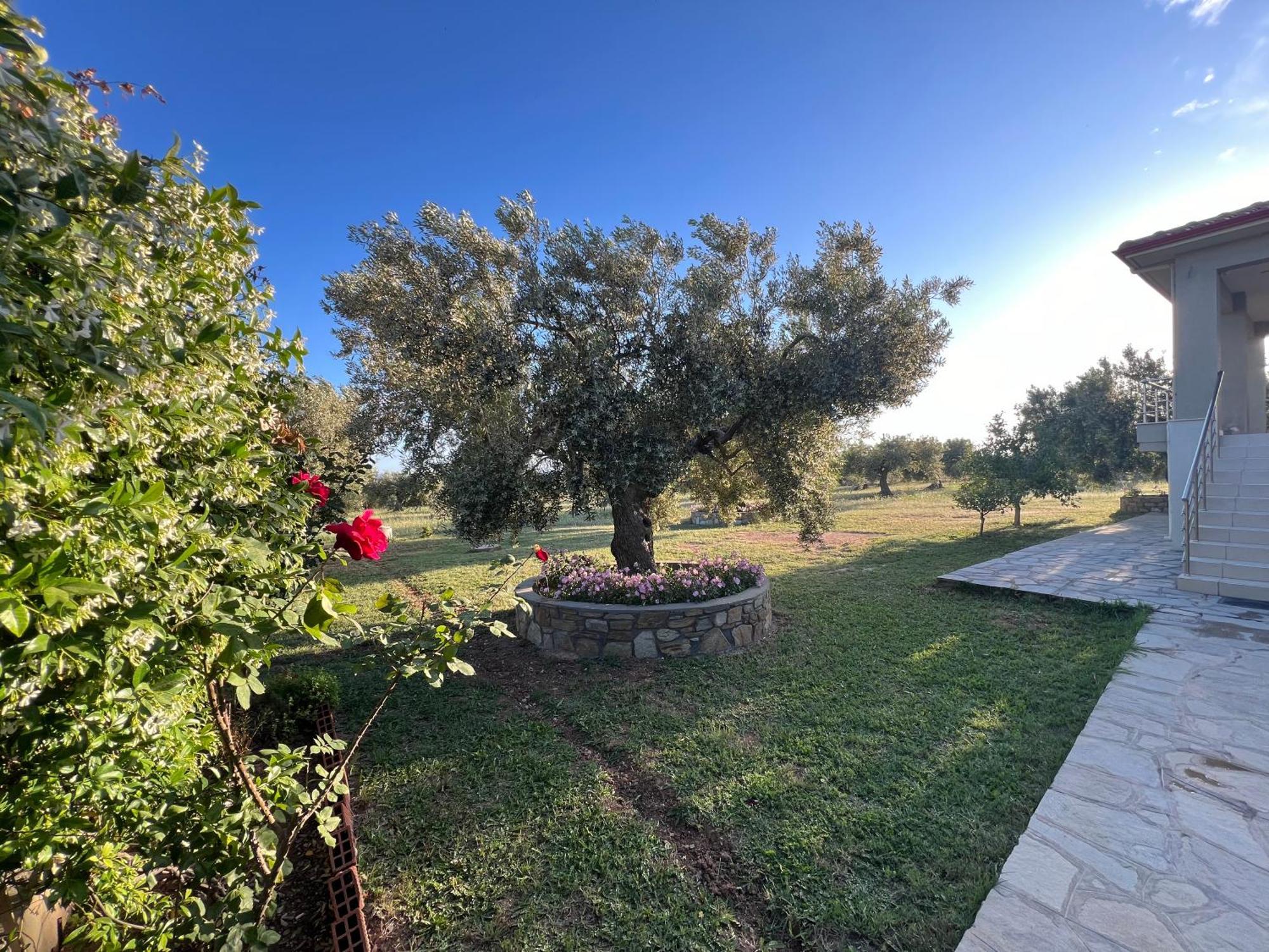 Villa Giannoula Gerakini Buitenkant foto